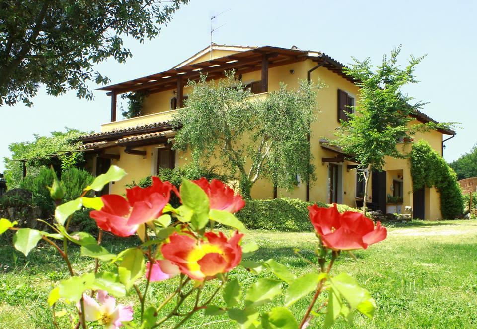 マッサ・マルターナ La Casa Di Gelsominoヴィラ エクステリア 写真